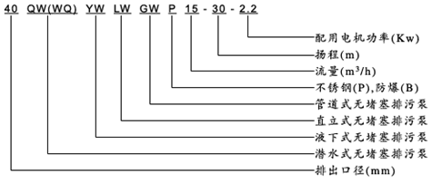 大東海泵業(yè)液下無堵塞排污泵型號(hào)意義
