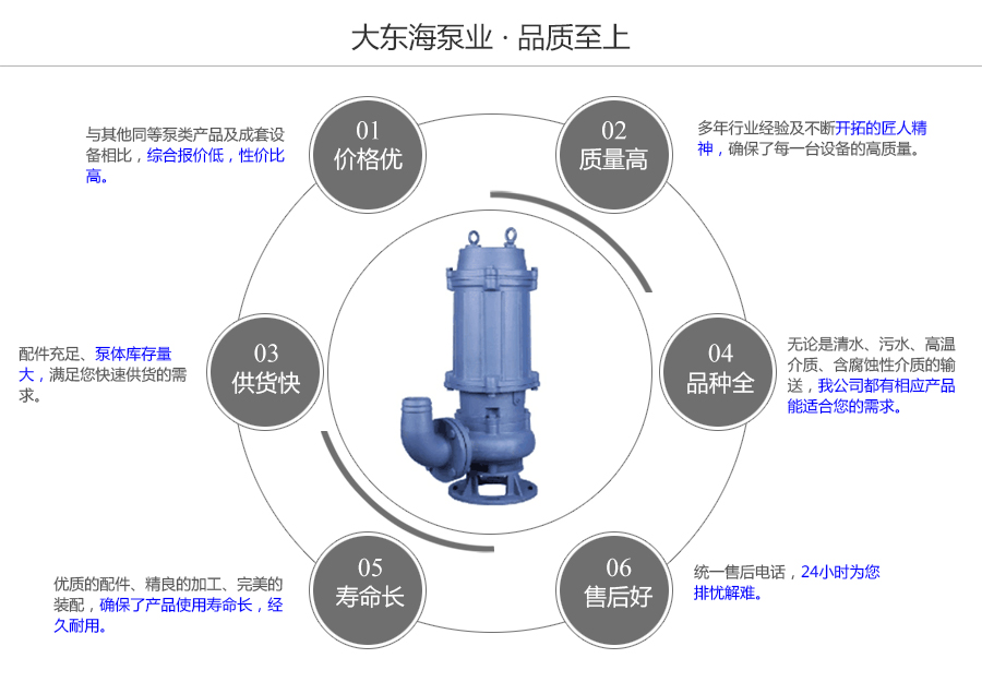 大東海泵業(yè)攪勻潛水排污泵質(zhì)量保證圖