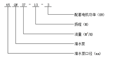 大東海泵業(yè)QW型潛水泵型號意義